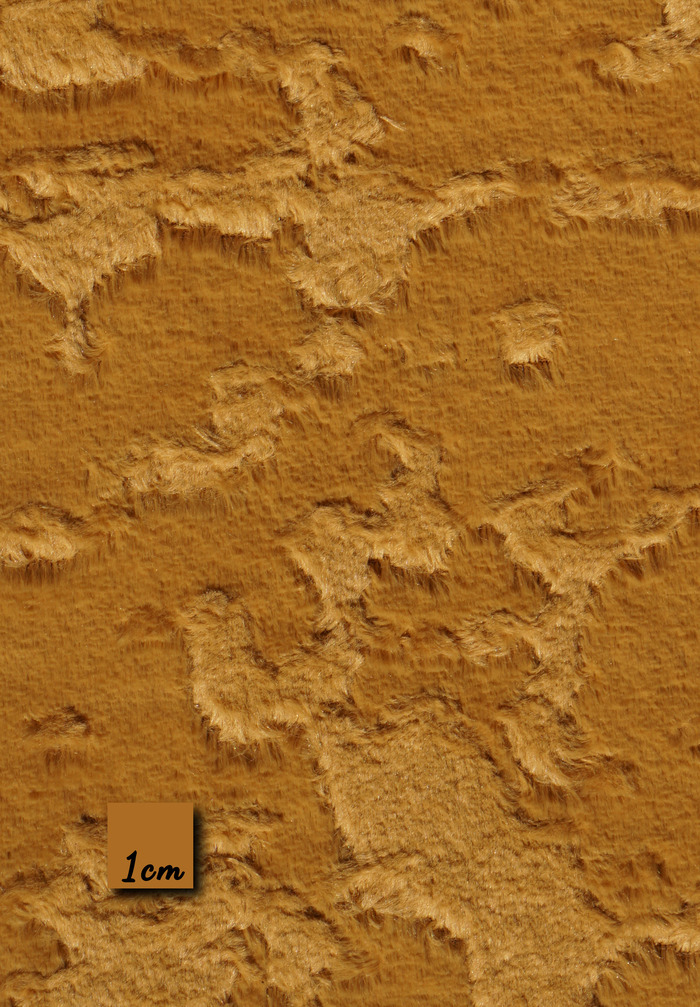 CHAVI - MUSTARD YELLOW