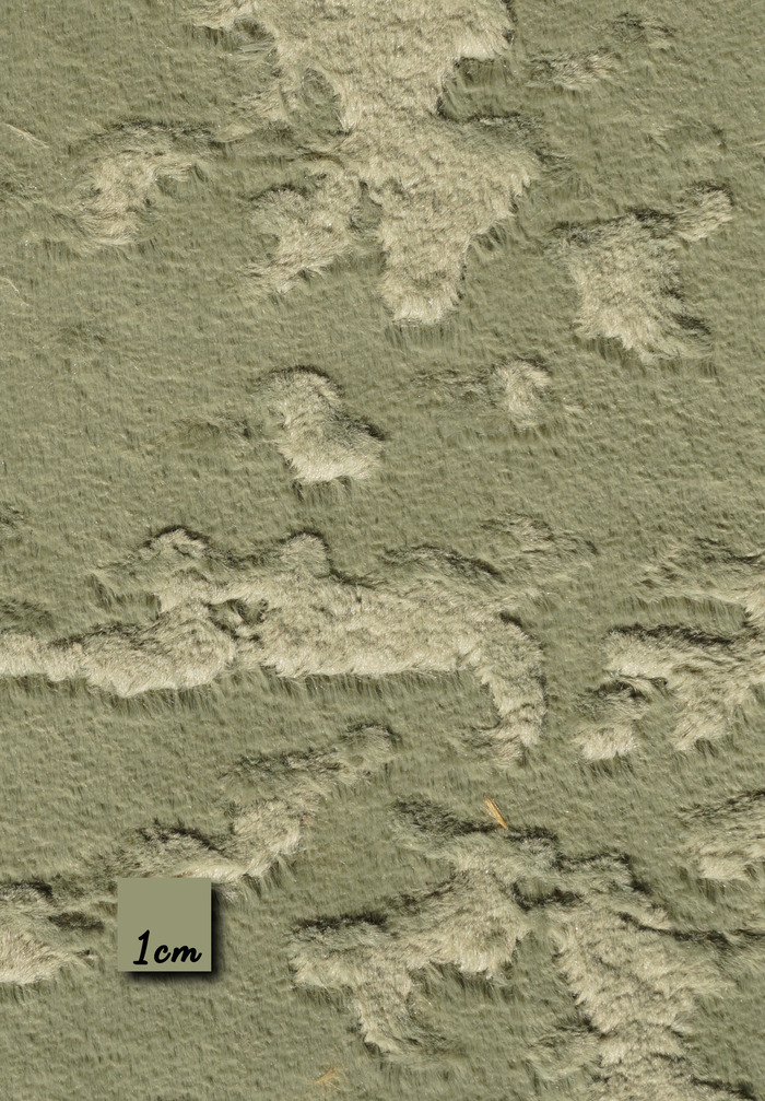 CHAVI - SEAFOAM GREEN