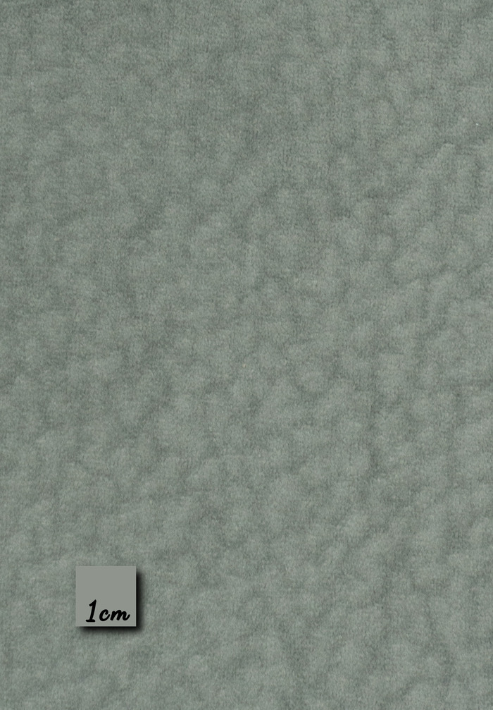 IKSHANA - GREY