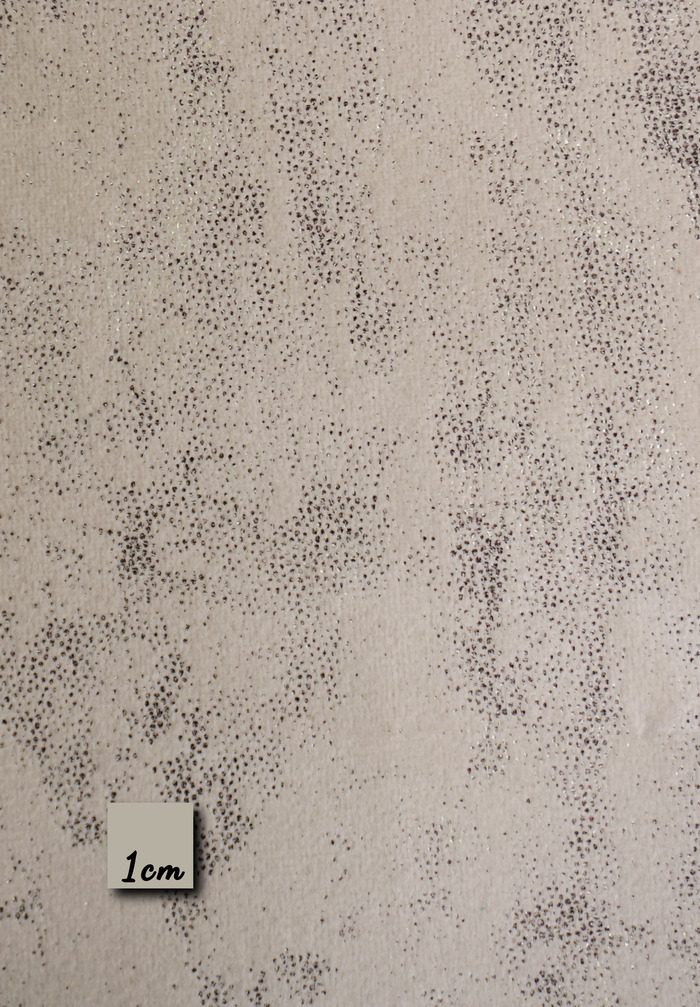 NAKSHATRA - TAUPE