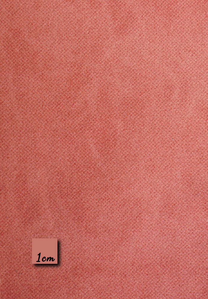 NAKSHATRA - WINDSOR TAN