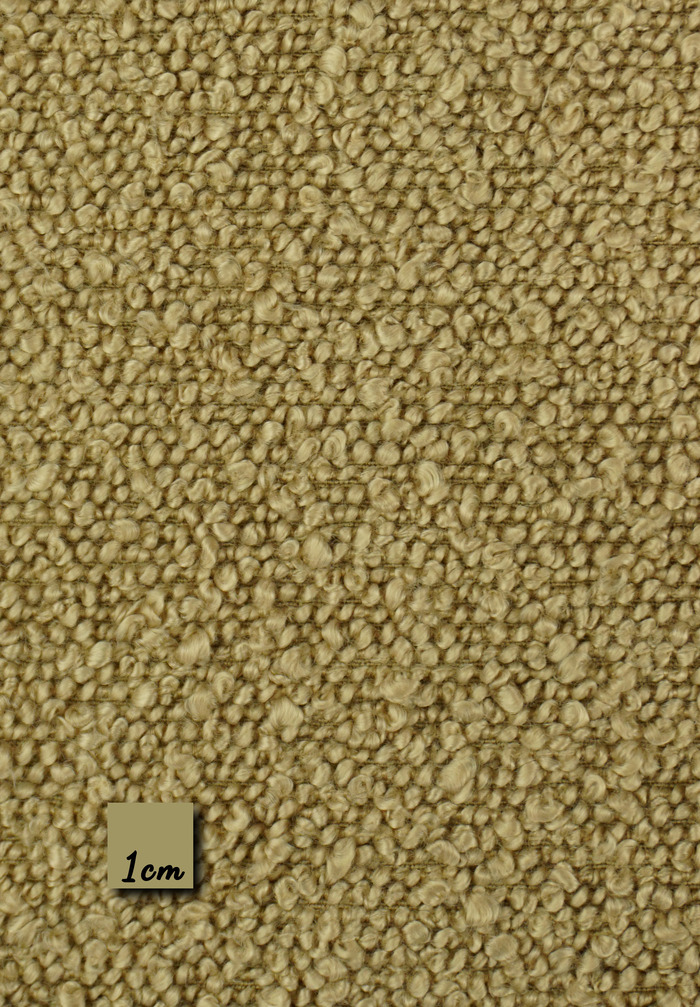 OOS - CAMEL