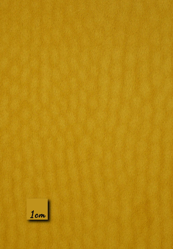 TRISHNA - GOLDEN YELLOW