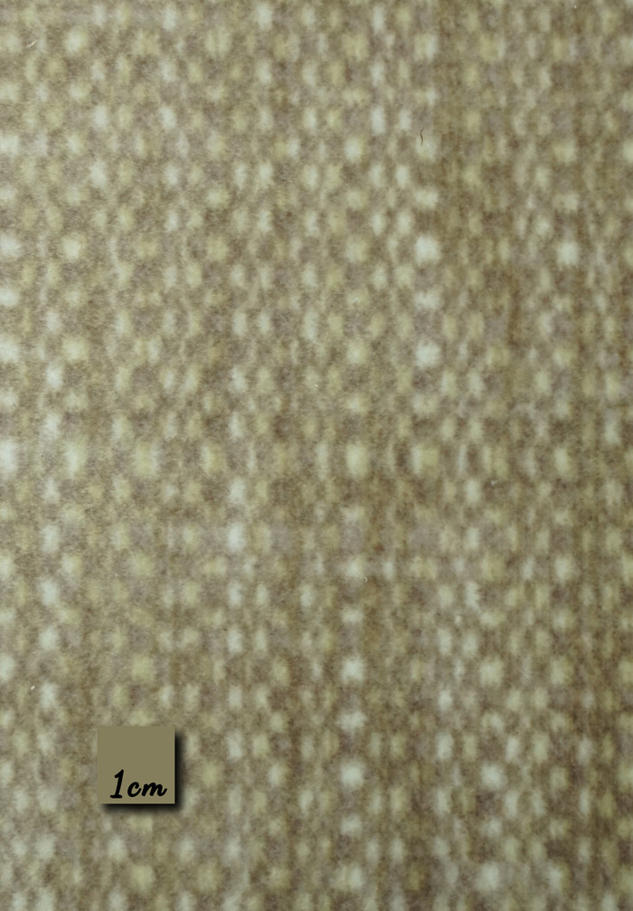 TWIS - BEIGE