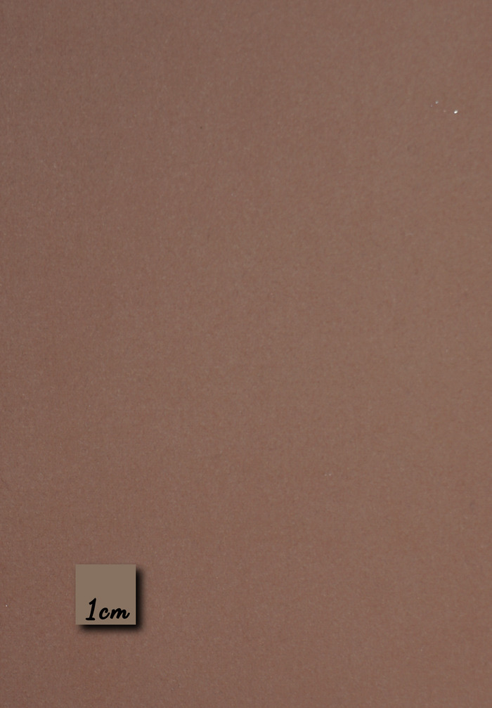 VARI - DUSTY PINK