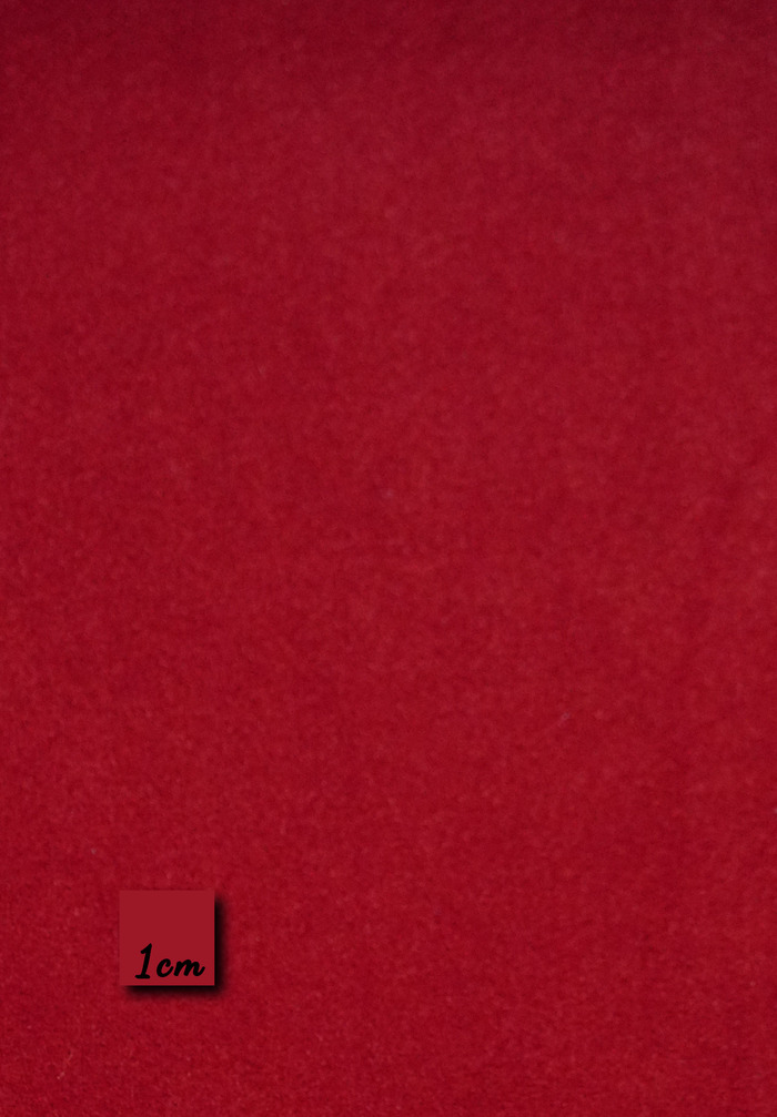 VIBHA - CARMINE RED