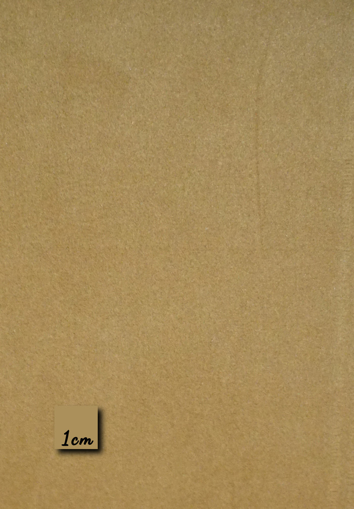VIBHA - CAMEL BROWN