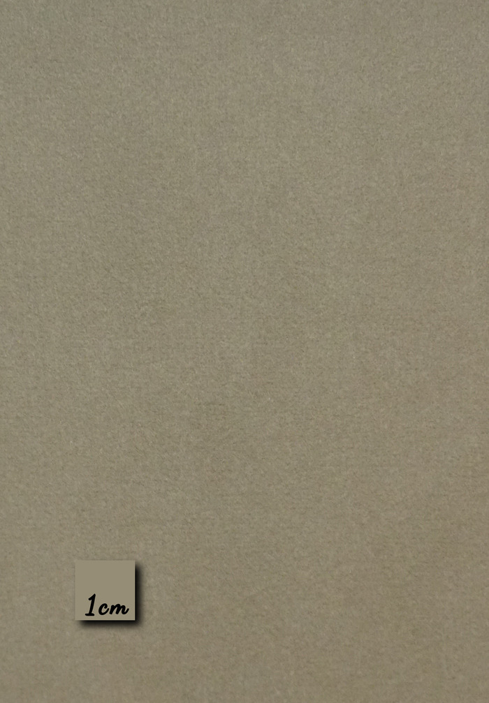 VIBHA - ROYAL BEIGE