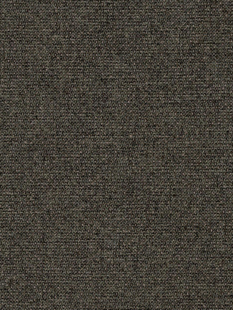 BONITO - Grullo / Brown Grey