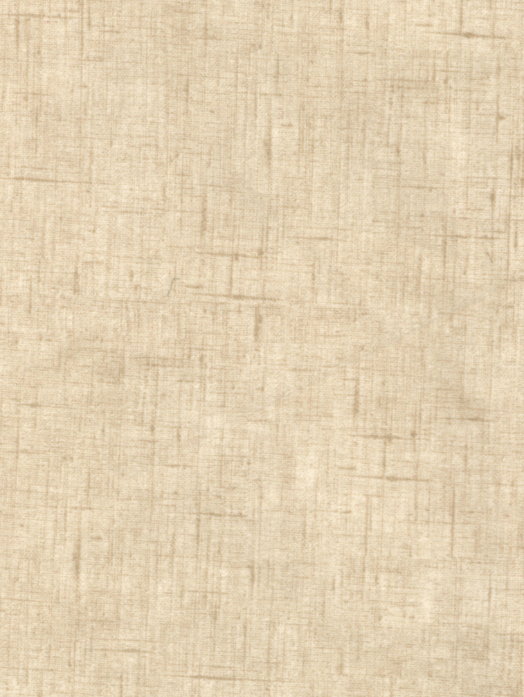 LINDO - Timberwolf / Beige