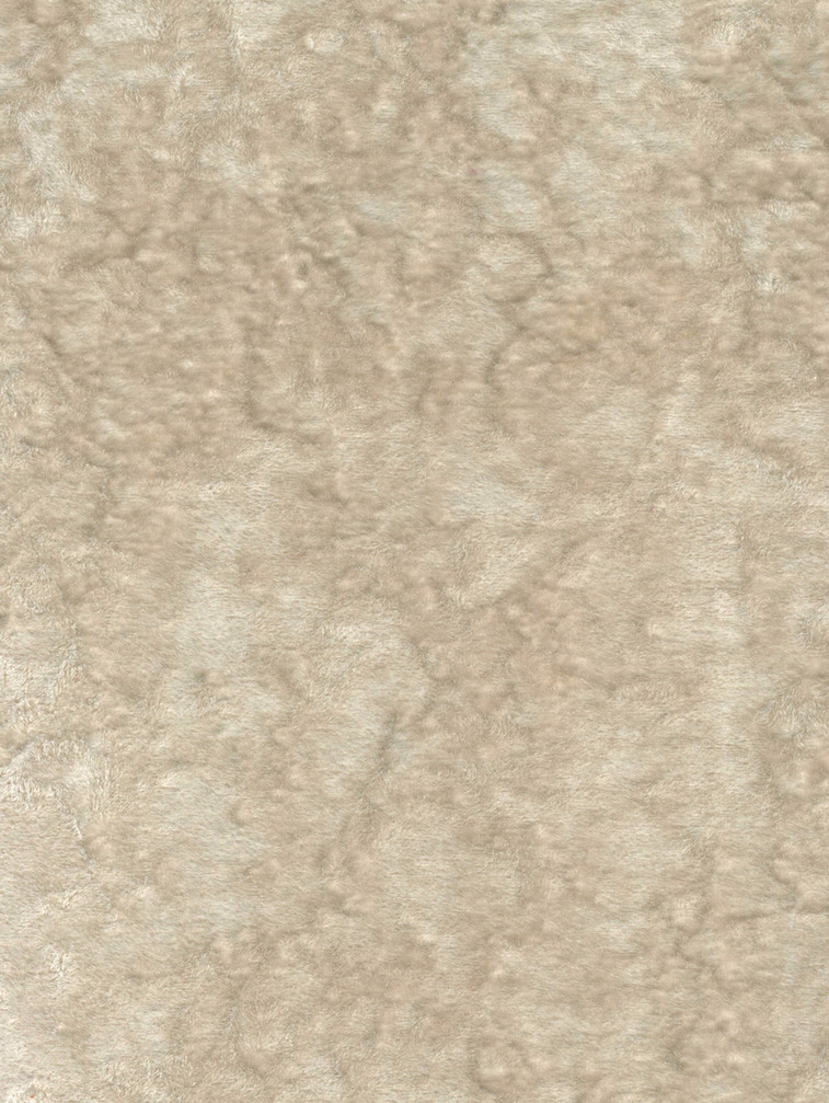 RICO - French Beige